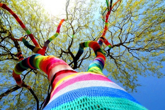 Yarn bombing - drzewo