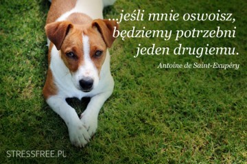 Mądre sentencje