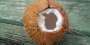 Kokos - mleko kokosowe