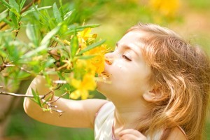 Dziecko wąchające kwiatek