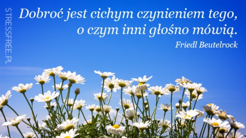 Jak Morze I Fale O Cierpieniu W Buddyzmie Stressfreepl