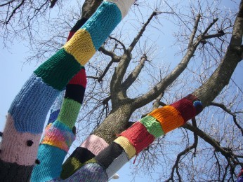 Yarn bombing - ubrane drzewo