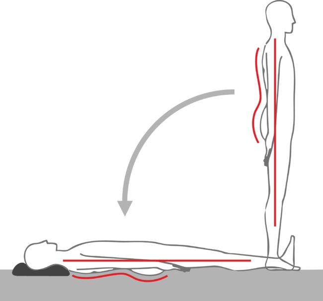 Obraz przedstawiający prwidłowe ułożenie kręgosłupa człowieka w pozycji stojącej i leżącej na wznak.