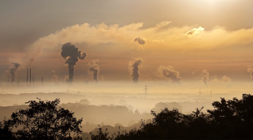 zanieczyszczenia a drogi oddechowe